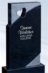 Stein 41